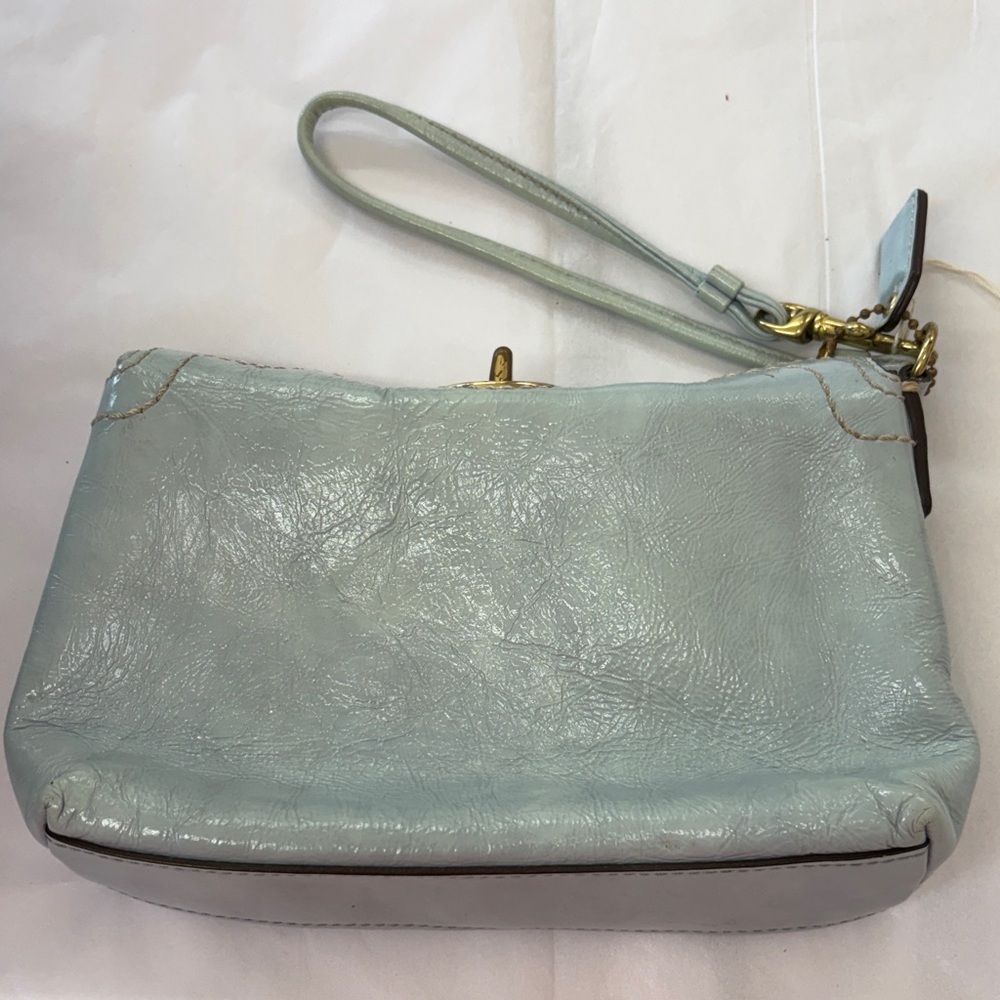 Elegant Robin’s egg Light Blue Leather small purse by coach